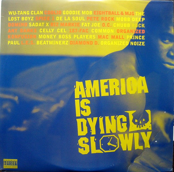 Various ~ America Is Dying Slowly (Vinyl) - Djungel & Jazz