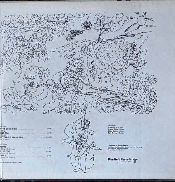 Jeremy Steig ~ Wayfaring Stranger (Vinyl) - Djungel & Jazz