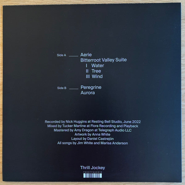 Jim White And Marisa Anderson ~ Swallowtail (Vinyl) - Djungel & Jazz