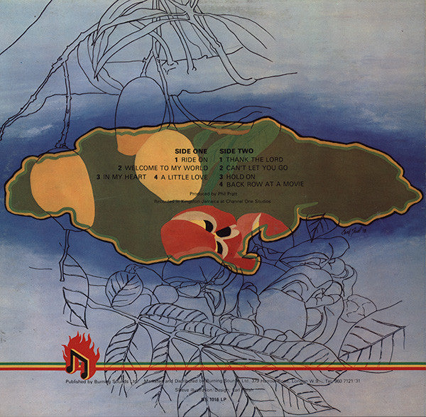 Jimmy London ~ Welcome To My World (Vinyl) - Djungel & Jazz