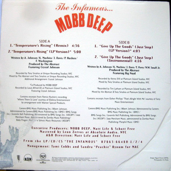 Mobb Deep ~ Temperature's Rising / Give Up The Goods (Vinyl) - Djungel & Jazz