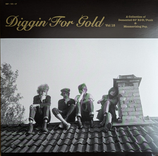 Various ~ Diggin' For Gold Vol 15 (A Collection Of Demented 60' R&B/Punk & Mesmerizing Pop.) (Vinyl) - Djungel & Jazz