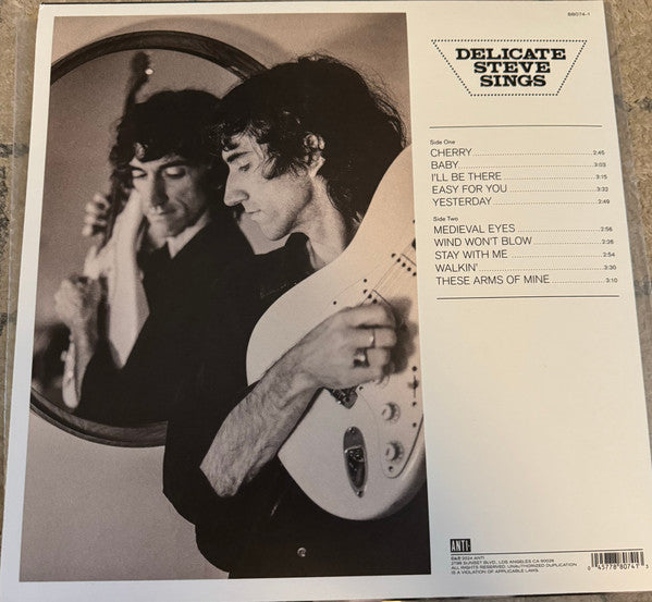 Delicate Steve ~ Delicate Steve Sings (Vinyl) - Djungel & Jazz