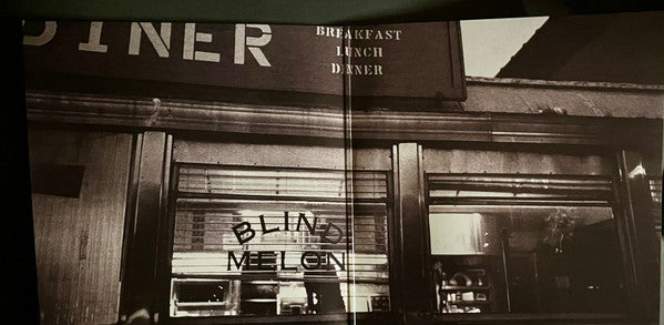 Blind Melon ~ Soup (Vinyl) - Djungel & Jazz