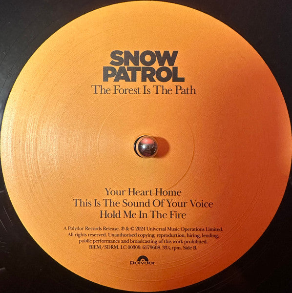 Snow Patrol ~ The Forest Is The Path (Vinyl) - Djungel & Jazz