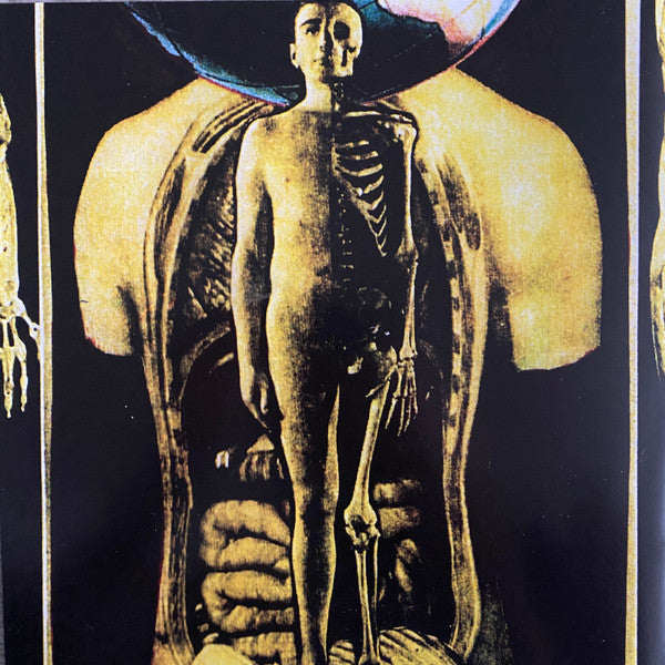 Nocturnal Emissions ~ Cathedral (Vinyl) - Djungel & Jazz