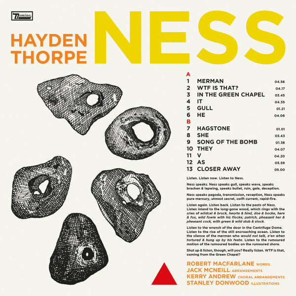 Hayden Thorpe ~ Ness (Vinyl) - Djungel & Jazz