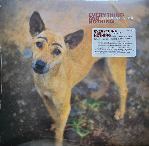 David Sylvian ~ Everything And Nothing (Vinyl) - Djungel & Jazz