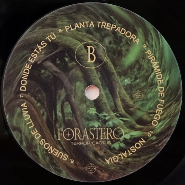 Terror/Cactus ~ Forastero (Vinyl) - Djungel & Jazz