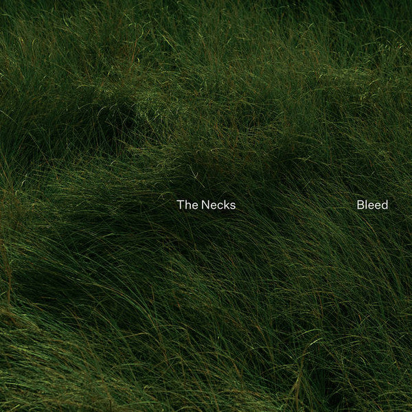 The Necks ~ Bleed (Vinyl) - Djungel & Jazz