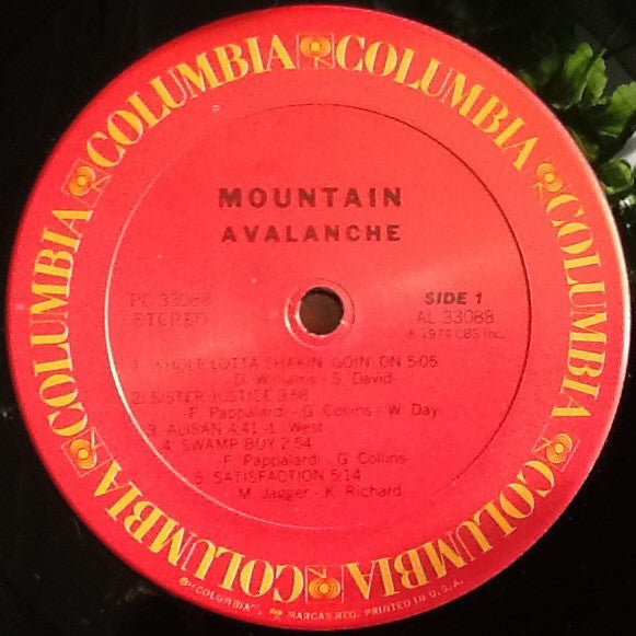Mountain : Avalanche (LP, Album, RP)