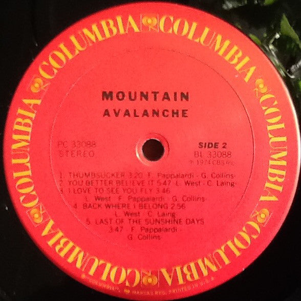 Mountain : Avalanche (LP, Album, RP)