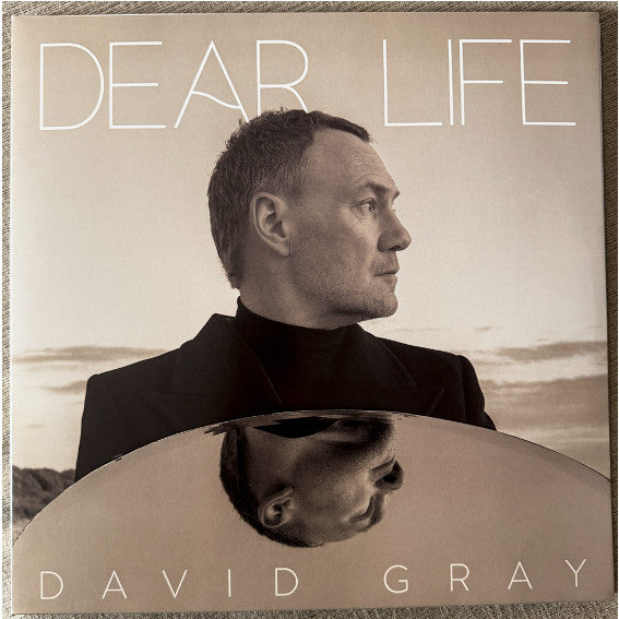 David Gray : Dear Life (2xLP, Album)