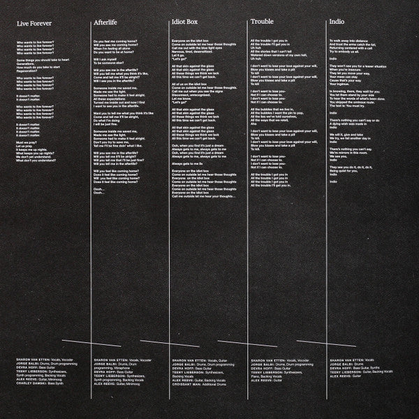 Sharon Van Etten & The Attachment Theory ~ Sharon Van Etten & The Attachment Theory (Vinyl) - Djungel & Jazz