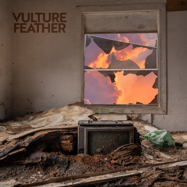 Vulture Feather : It Will Be Like Now (LP, Album, Ltd, Ros)