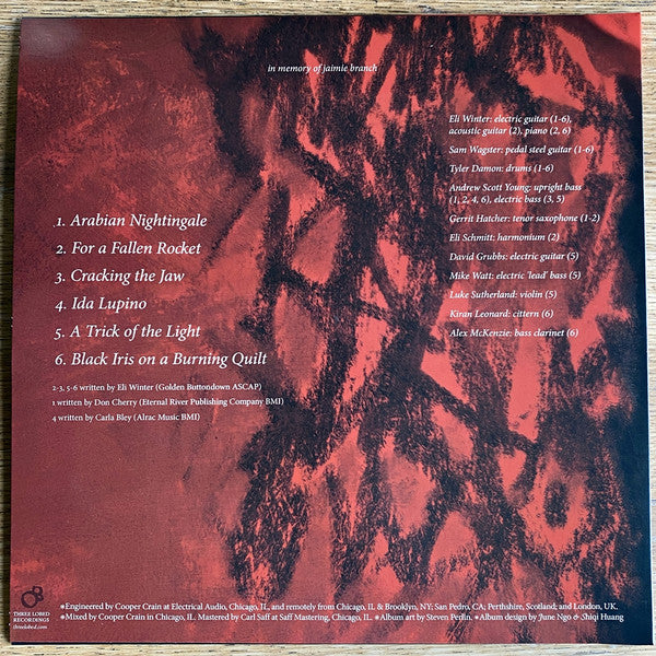 Eli Winter ~ A Trick Of The Light (Vinyl) - Djungel & Jazz