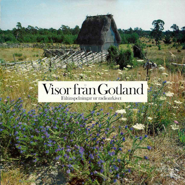 Various ~ Visor Från Gotland - Fältinspelningar Ur Radioarkivet (Vinyl) - Djungel & Jazz