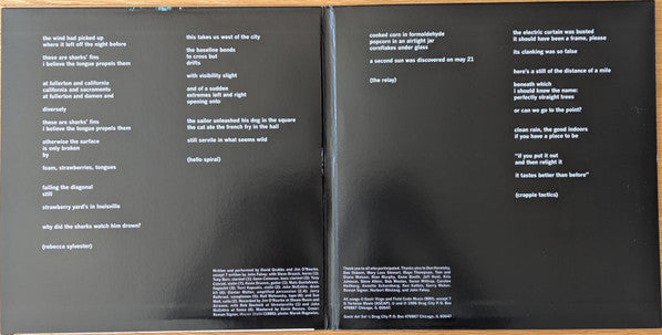 Gastr Del Sol ~ Upgrade & Afterlife (Vinyl) - Djungel & Jazz