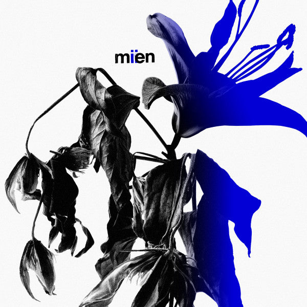 MIEN  ~ MIIEN (Vinyl) - Djungel & Jazz