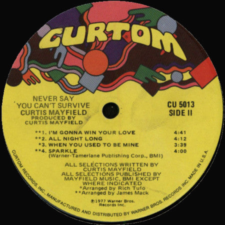 Curtis Mayfield ~ Never Say You Can't Survive (Vinyl) - Djungel & Jazz