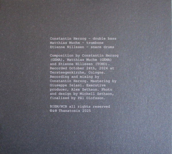 Herzog | Muche | Nillesen ~ Anasýnthesi (Vinyl) - Djungel & Jazz