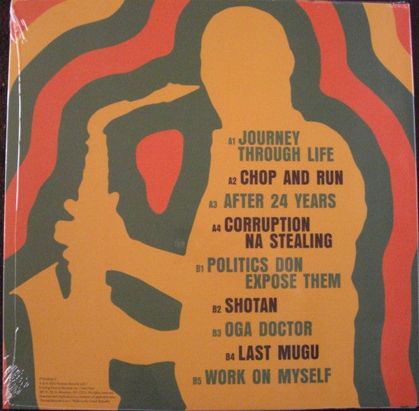 Femi Kuti ~ Journey Through Life (Vinyl) - Djungel & Jazz