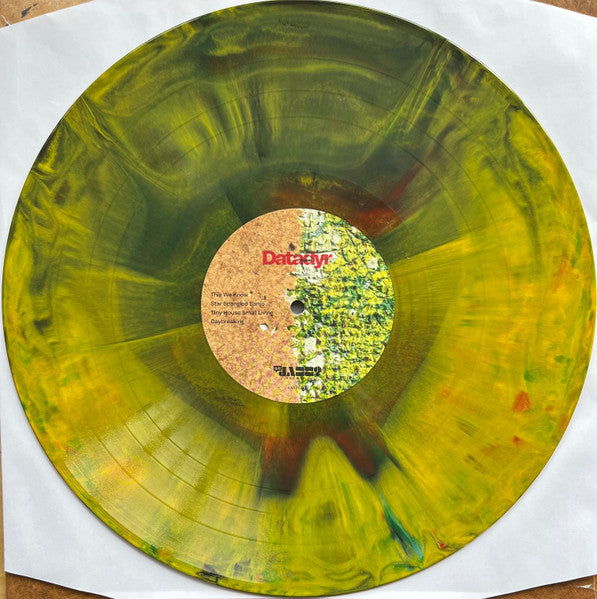 Datadyr ~ This We Know (Vinyl) - Djungel & Jazz