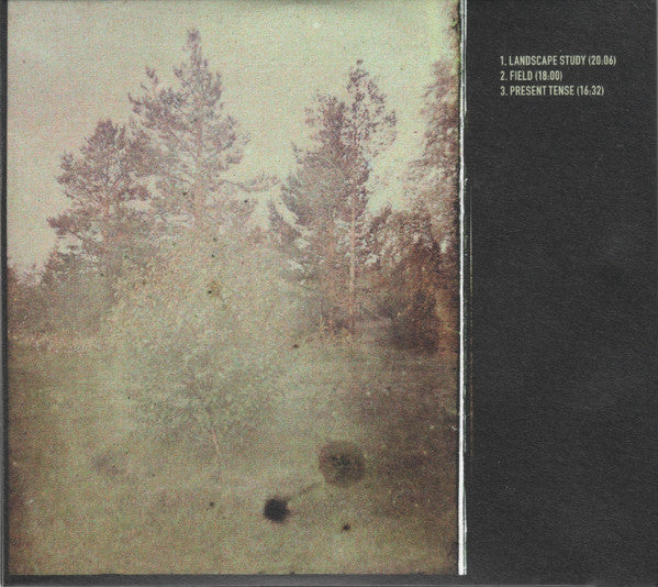 Kory Reeder ~ In Place (Vinyl) - Djungel & Jazz