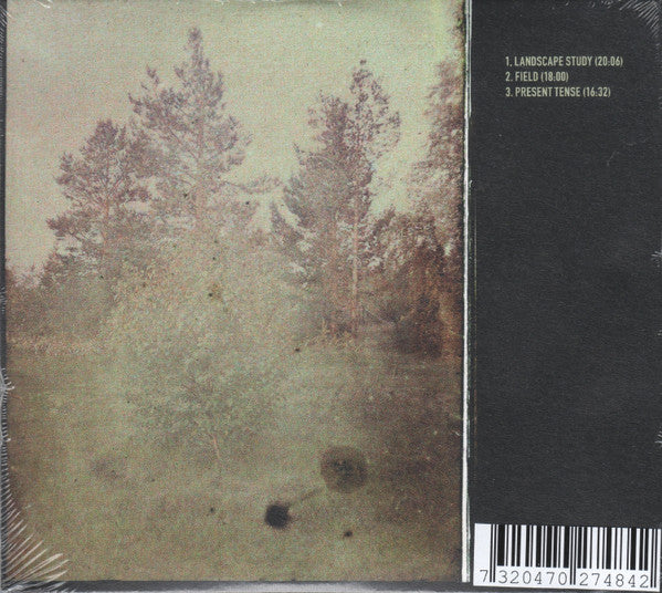 Kory Reeder ~ In Place (Vinyl) - Djungel & Jazz