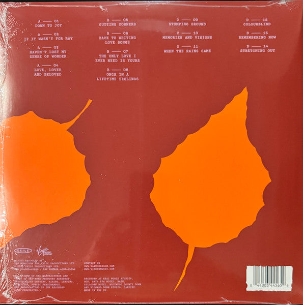 Van Morrison ~ Remembering Now (Vinyl) - Djungel & Jazz