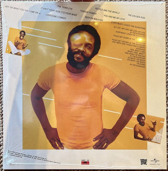 Roy Ayers Ubiquity ~ Everybody Loves The Sunshine (Vinyl) - Djungel & Jazz