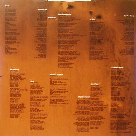 Ben Harper ~ The Will To Live (Vinyl) - Djungel & Jazz