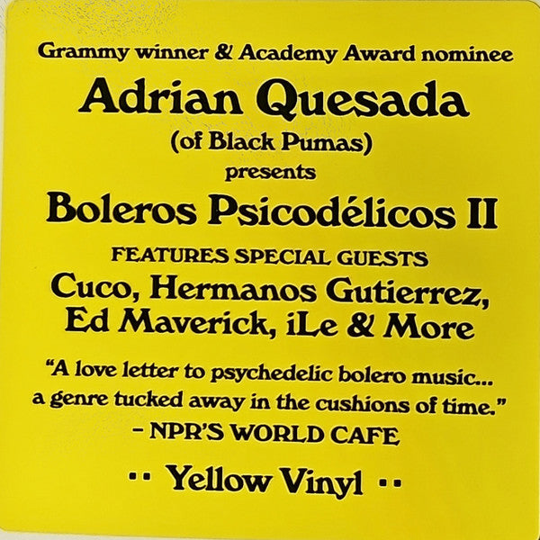 Adrian Quesada ~ Boleros Psicodélicos II (Vinyl) - Djungel & Jazz