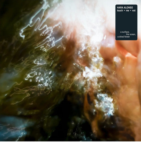 Hara Alonso ~ touch•me•not (Vinyl) - Djungel & Jazz