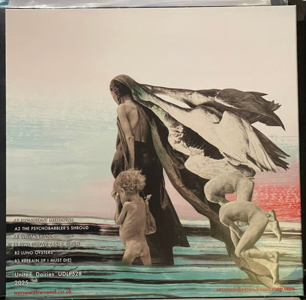 Nurse With Wound / Diarmuid MacDiarmada ~ Lung Oysters (Vinyl) - Djungel & Jazz