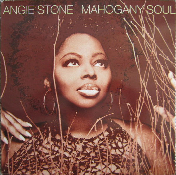 Angie Stone : Mahogany Soul (2xLP, Album)