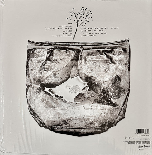 LP: David Sylvian - Secrets Of The Beehive