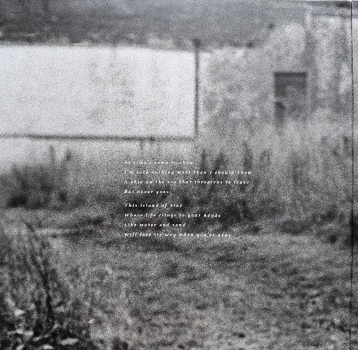 David Sylvian ~ Gone To Earth (Vinyl) - Djungel & Jazz