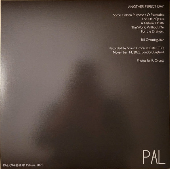 Bill Orcutt ~ Another Perfect Day (Vinyl) - Djungel & Jazz