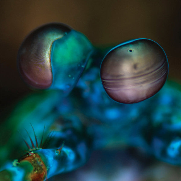 Melvin Gibbs : Amasia: Anamibia Sessions 2 (LP, Album, Cle)