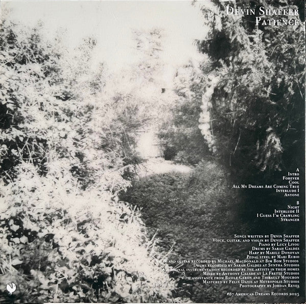 Devin Shaffer ~ Patience (Vinyl) - Djungel & Jazz