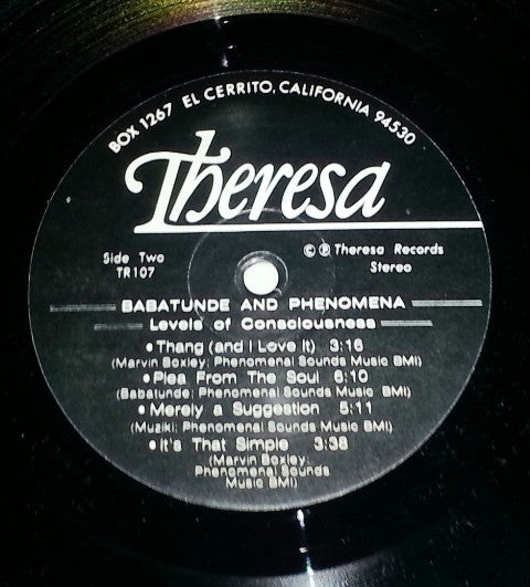 Babatunde And Phenomena ~ Levels Of Conciousness (Vinyl) - Djungel & Jazz