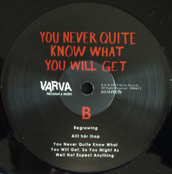 Olle Lannér Risenfors ~ You Never Quite Know What You Will Get (Vinyl) - Djungel & Jazz