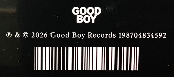 James Blake ~ Trying Times (Vinyl) - Djungel & Jazz