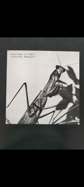 Courtney Barnett ~ Creature Of Habit (Vinyl) - Djungel & Jazz