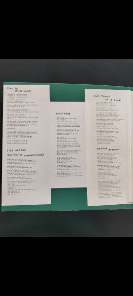 Courtney Barnett ~ Creature Of Habit (Vinyl) - Djungel & Jazz