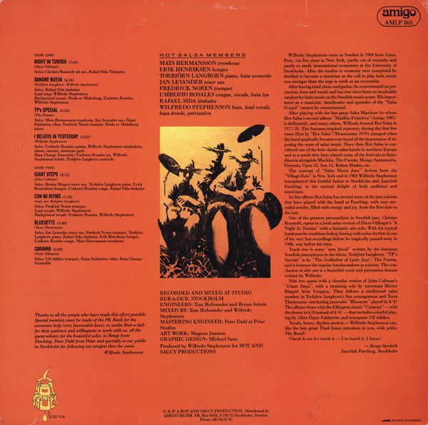 Hot Salsa ~ Hot Salsa Meets Swedish Jazz (Vinyl) - Djungel & Jazz