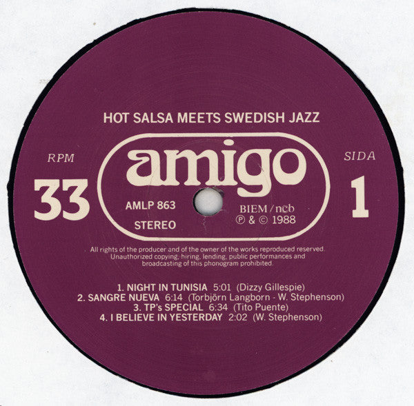 Hot Salsa ~ Hot Salsa Meets Swedish Jazz (Vinyl) - Djungel & Jazz