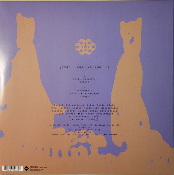 Bardo Pond ~ Volume VI (Vinyl) - Djungel & Jazz