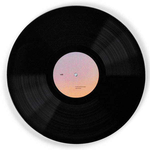 Vladislav Delay Quintet : vd5 (LP, Album)